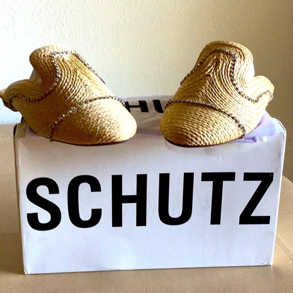Schutz Heide Nude Bordado & Rhinestones Mules. - Picture 2 of 7